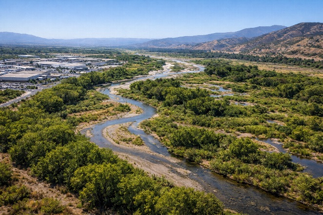 California stream or wetland adjacent to a project site