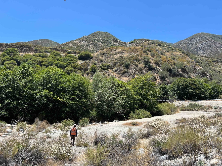 Non-federal stream and riparian habitat in California hills