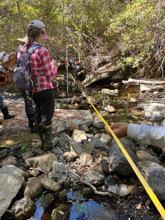 Close-up of field staff identifying an ordinary high water mark in a dry channel